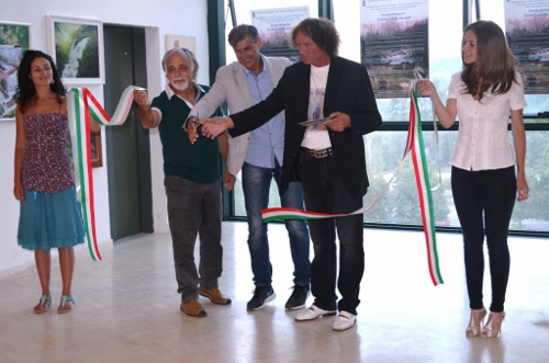 MIRANDI 2016